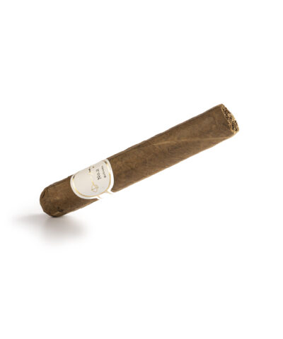 Robusto_W_square